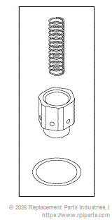 RPI AMK285 Check Valve Repair Kit 