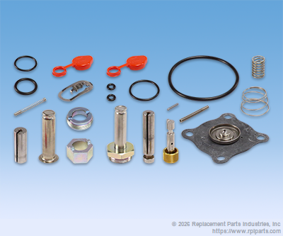 RPI CSK019 Dual Solenoid Valve Repair Kit 
