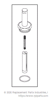 RPI CSK020 Solenoid Valve Repair Kit 