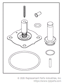 RPI CSK024 Solenoid Valve Repair Kit