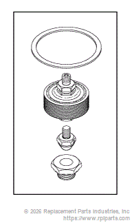 RPI CSK060 Steam Trap Rebuild Kit 