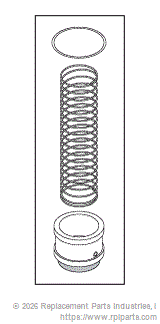 RPI CSK065 Check Valve Rebuild Kit 