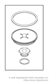 RPI CSK067 Steam Trap Rebuild Kit 