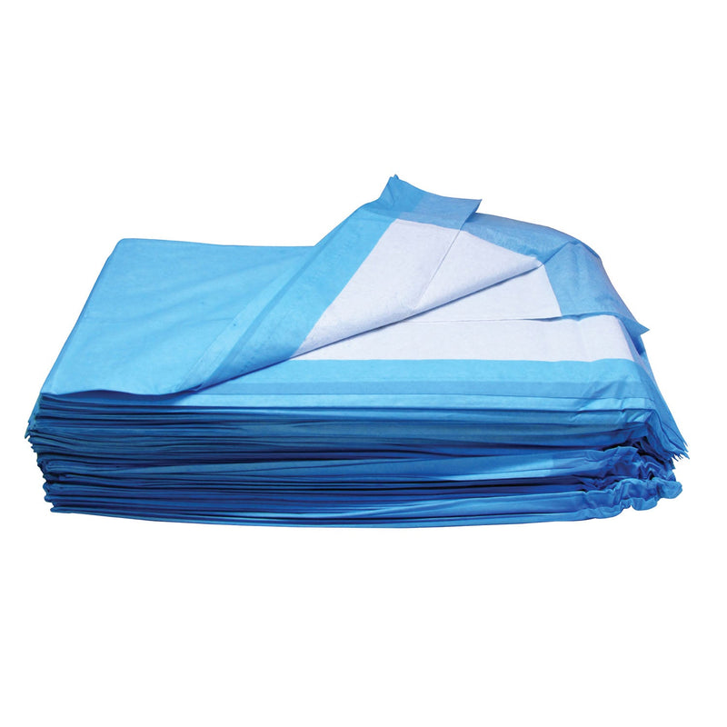 Dukal Corporation Dukal Under Pads  Pad, 17" x 24", Basic, Non-Sterile, 100/bg, 3 bg/c