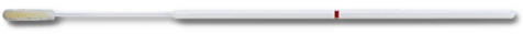 Fisher Anatomical Fisher Scientific Culture Swab (100/PK) 