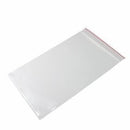 BAG RED LINE ZIP CLOSURE CLEAR6X9 2MIL 100PK 10PK/CS