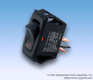 RPI MIS325 Switch 