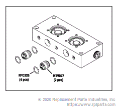 RPI MTM043 Manifold (2 Stn)