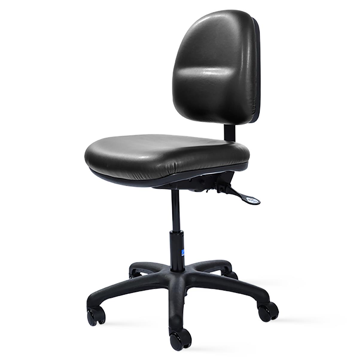 Pedigo Adjustable Back Rest Chair