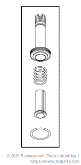 RPI RCK113 Solenoid Valve Repair Kit