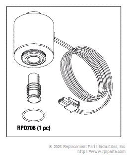 RPI SDV047 Inlet Valve
