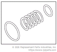 RPI SSK034 Check Valve Repair Kit (Ck-8)