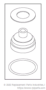 RPI VPK016 Anti-Syphon Valve Repair Kit