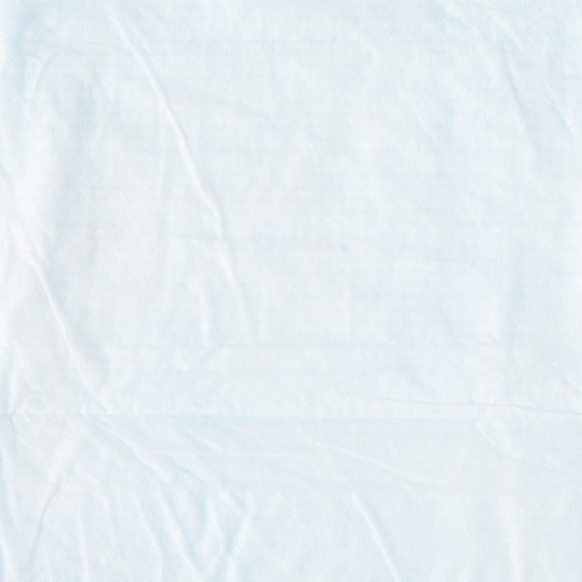 Disposable Underpad Protection Plus 23 X 24 Inch Fluff Light Absorbency (200/CS)