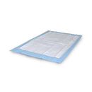 SPC Super Absorbent Quilted Underpad, 30 x 36 Inch (Case of 100)