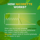 Glaxo Consumer Products Nicorette Stop Smoking Aid Gum 4 mg Spearmint Burst with a Hint of Chamomile (100/CT) 