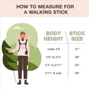 Brazos Twisted Oak Traveler's Handcrafted Walking Stick, 55-Inch, Brown (Each)