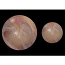 ADC Adstation 5680-56 3.5V Wall PMV Otoscope/Ophthalmoscope/Throat Illuminator/Dermascope Diagnostic Set 