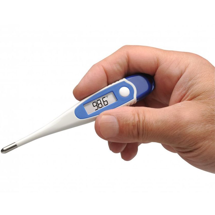 ADC Adtemp 422 Veterinary Digital Thermometer in hand