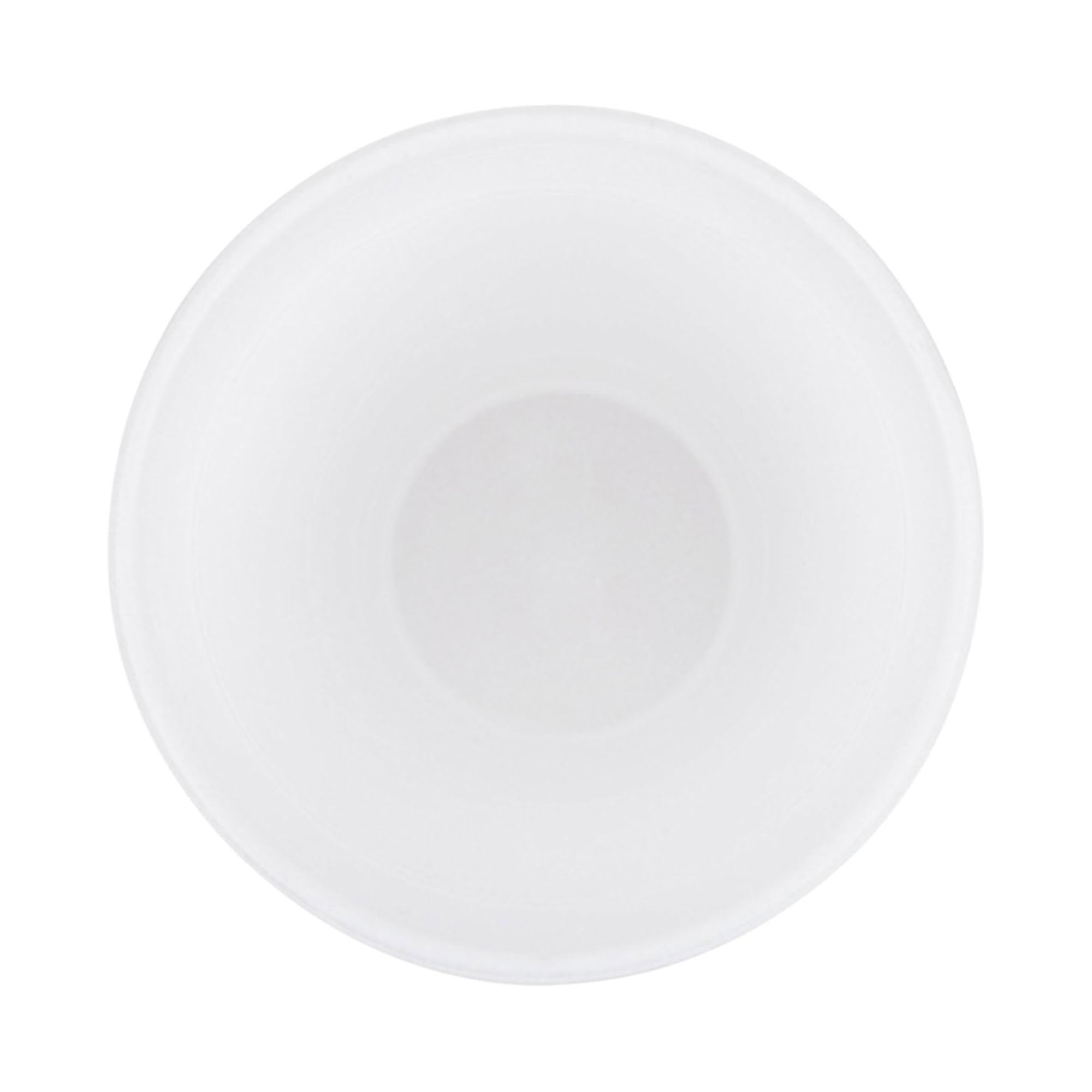 RJ Schinner Co Solo Styrofoam Drinking Cup, 20 oz. (500/CS) 