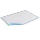 Essity HMS North America Inc Tena Underpad Large, 30 x 30 Inch (150/CS)
