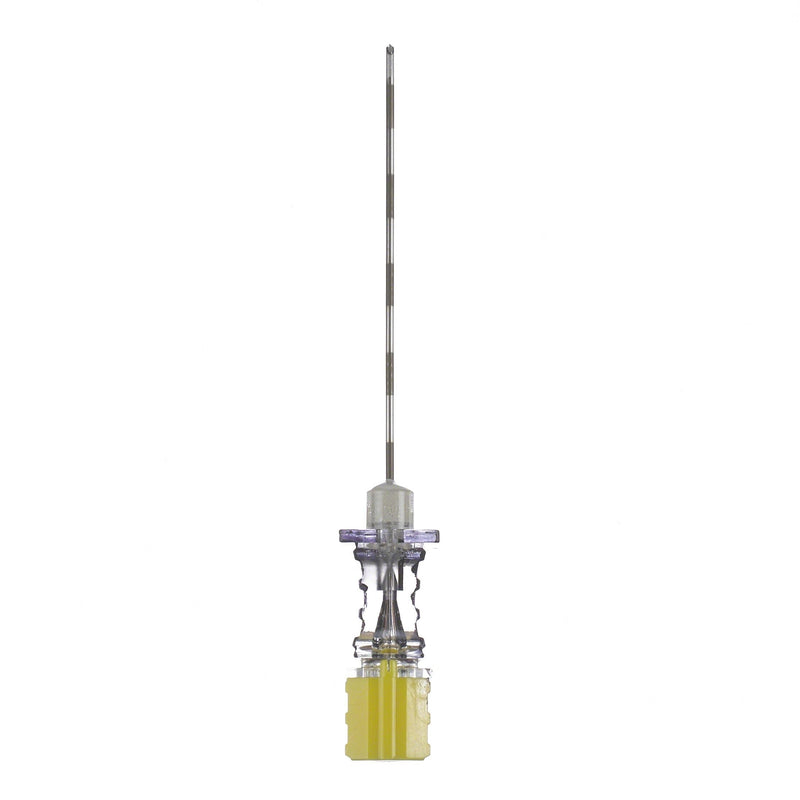 B. Braun Epican Short Length Caudal Needle (25/Case)  Epican 20 Ga x 2 in (50 mm) Caudal Needle - Non-Wi