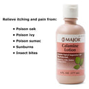 Major Calamine / Zinc Oxide Itch Relief, 177 mL Bottle (Each)