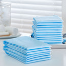 McKesson Classic Plus Light Absorbency Underpads, 17 x 24 Inch (Case of 300)