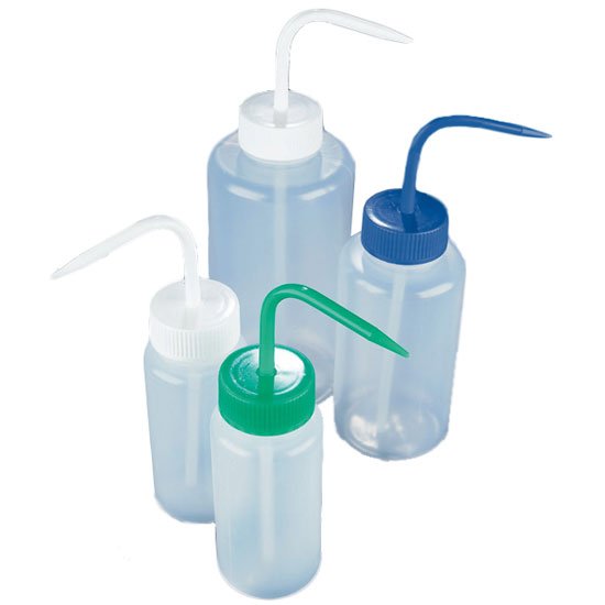 Globe Scientific Wash Bottle, 16-ounce capacity (Box of 5)