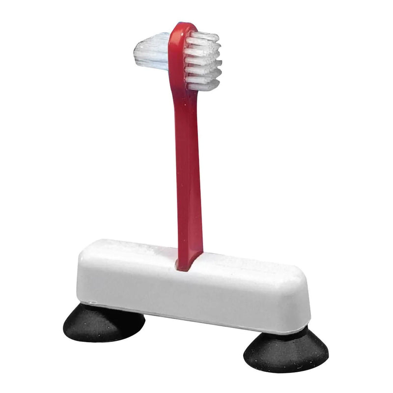 Denture Brush (Each)