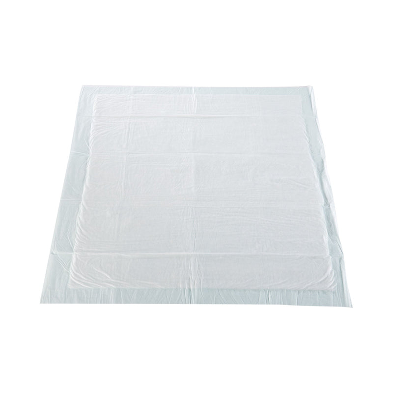 McKesson Super Moderate Absorbency Underpad, 30 x 30 Inch (150/CS)