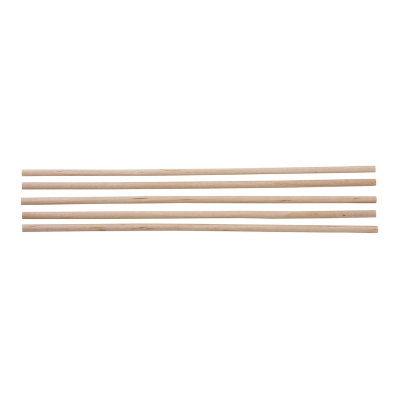 McKesson Applicator Stick, 6-Inch Length (1000/BX) 