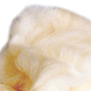 McKesson Lamb's Wool, 4 ounce (Case of 10)