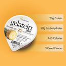 Medtrition/National Nutrition Gelatein Plus Pineapple High Protein Gelatin, 4-ounce cup (36/CS) 