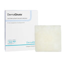 DermaGinate Alginate Dressing, 2 x 2 Inch (Box of 10)