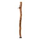 Brazos Walking Stick with Compass, 55-Inch Height (Each)
