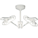 Burton Outpatient LED Examination Light - Double Ceiling Mount