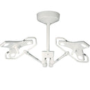 Burton Outpatient LED Examination Light - Double Ceiling Mount 