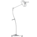 Burton Outpatient LED Examination Light - Floorstand