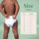 First Quality Products LLC Earth & Eden Sensitive Baby Diapers, Size 2 for Babies Weighing 12 – 18 lbs. (204/CS)