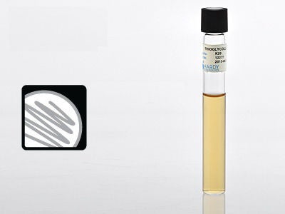 Prepared Media Thioglycollate Medium Beige Tube Format (Box of 20)