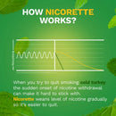 Nicorette Stop Smoking Aid Gum 4 mg Spearmint Burst with a Hint of Chamomile (Carton of 100)