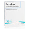 DermaGinate Alginate Dressing, 2 x 2 Inch (Box of 10)