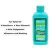 Geri-Care Geri-Lanta Antacid Liquid Relief for Gas and Heartburn (Case of 12)