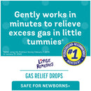 Medtech Laboratories Little Remedies for Tummys Simethicone Antigas Gas Relief Drops 