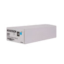 McKesson Brand McKesson Rib Belt, One Size Fits Most Women 