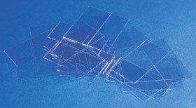 Erie Scientific Cover Glass, 22 x 22 mm (Box of 10)