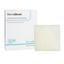 Sion Brands LLC DermaGinate Alginate Dressing, 2 x 2 Inch (10/BX) 