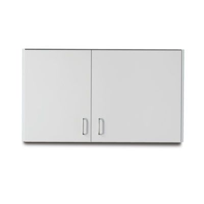 Clinton 42" Wall Cabinet with 2 Doors (Extended Right Door)  Gray