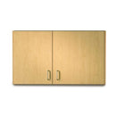 Clinton 42" Wall Cabinet with 2 Doors (Extended Right Door)  Slate Gray